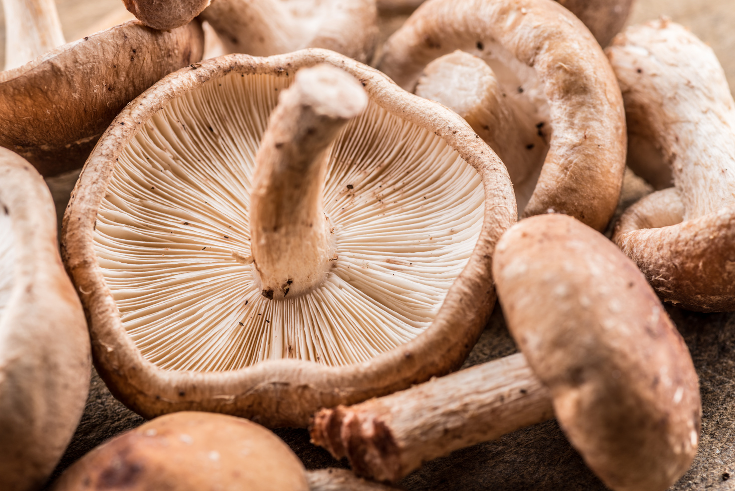 Shiitake mushrooms.