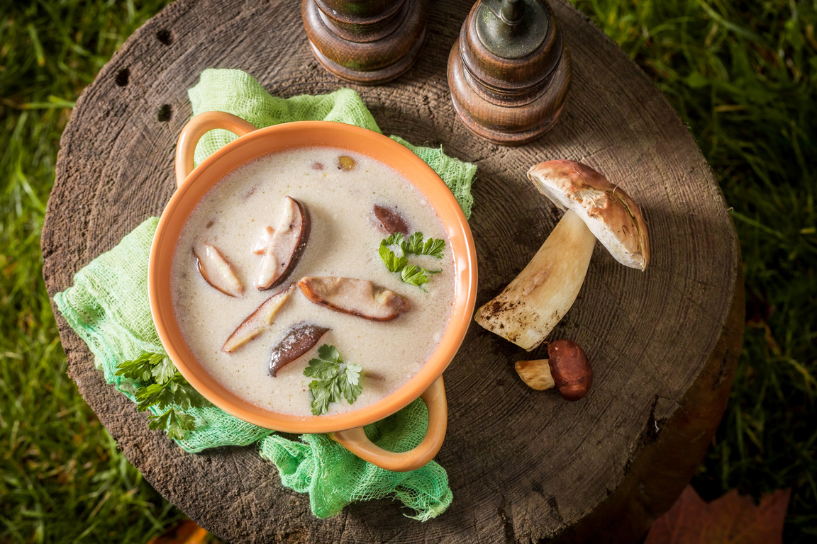 Delicious boletus cream made of noble mushrooms